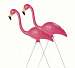 Flamingo Pair