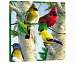 Favorite Songbirds Art Plaque