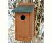 Going Green Bluebird House
