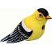 Goldfinch Birdhouse