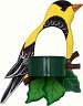 Goldfinch Window Birdfeeder