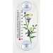 Goldfinch Pair Window Thermometer
