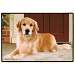 Golden Retriever Porch Doormat