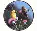 Goldfinches Suncatcher