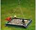 Hanging Platform Feeder