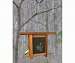 Grapes Etched Glass Birdfeeder
