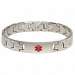 Brushed Stainless Link Bracelet