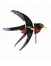 Bird Spinner Robin