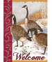 Bird House Flags Welcome Geese