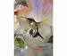 Bird House Flags Ruby Throated Honey