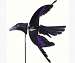 Bird Spinner Raven