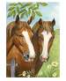 Flower House Flags Twin Horses