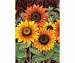 Flower House Flags Sunflower