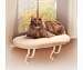 Kitty Sill