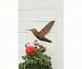 Hummingbird Flamed Wall Mount