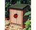 Ladybug House