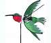 Hummingbird Spinner