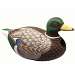 Mallard Duck Birdhouse