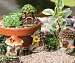 Mini Fairy House Statues Set of 4