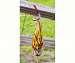 Mercury Solar Swizzle Stake