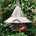 Mandarin Feeder New Arch Ports