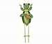 Leaf Bug Garden Stake Small