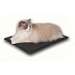 Outdoor Heated Kitty Pad