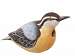 Nuthatch Birdhouse