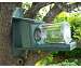 Recycled Plastic Squirrels in Jar Feeder
