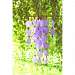 Purple Capiz Chime w Wooden Beads