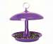 Purple Platform Fly Through Feeder