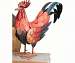 Red Rooster Small