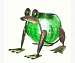 Quirky Solar Frog Lantern