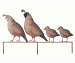 Quail Family Yard Art