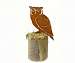 Screech Owl Large