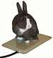 Small Animal Heated Pad