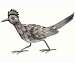 Roadrunner