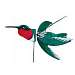 Ruby Throated Hummingbird