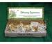 Shelf Display Blooming Expressions 48 pc. Christmas