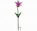 Solar Tiger Lily Stake