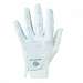 Stable Grip Golf Glove