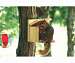 Squirrel Munch Box