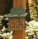Squirrel Feeder Hunter Driftwood