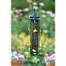 Squirrel Buster Finch Feeder