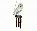 Snowy Owl