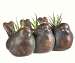 Trio of Birds Planter