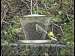 Tray Feeder