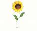 Sunflower Garden Stake Bird Feeder