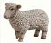Young Sheep Statuary