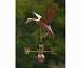 Weathervane Polished Copper  Landing Duck